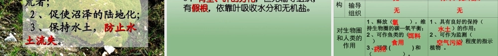 七年级生物上册 第一节 藻类苔藓和蕨类植物课件 新人教版 课件