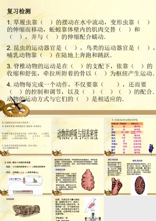 北省唐山十六中八年级生物(动物的呼吸与饲养密度)课件  课件