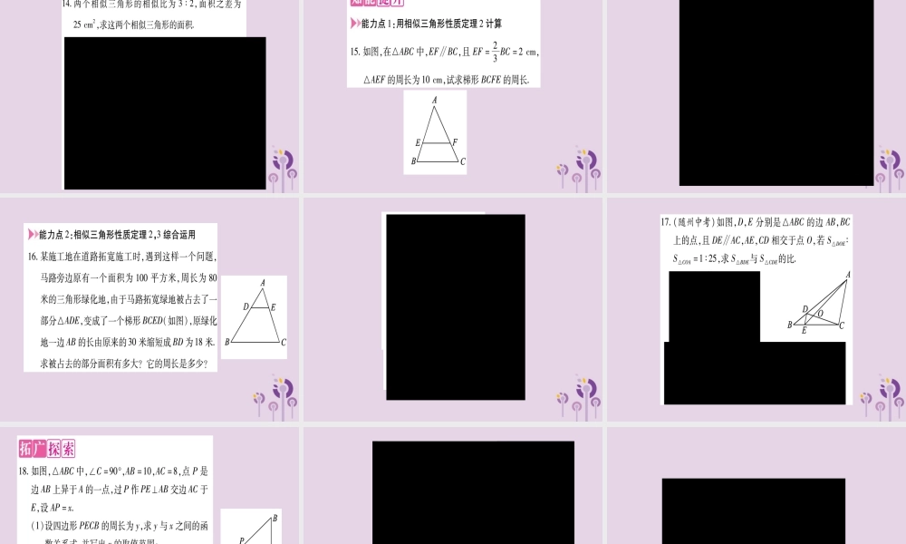 九年级数学上册 第22章 相似形 223 相似三角形的性质 第2课时 相似三角形的性质定理2作业课件 (新版)沪科版 课件