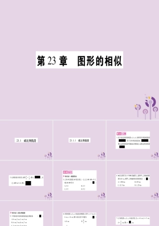 九年级数学上册 第23章 图形的相似 2311 成比例线段作业课件 (新版)华东师大版 课件