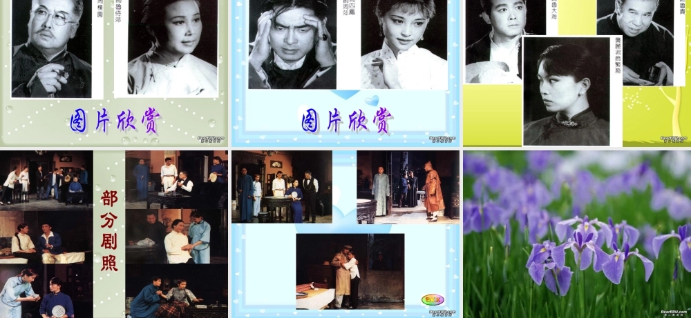 戏剧语言三 高一语文雷雨教学课件[整理五套]苏教版1