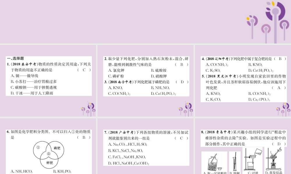 中考化学总复习 第1编 主题复习 模块1 身边的化学物质 课时8 盐 化肥(精练)课件