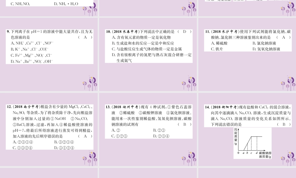 中考化学总复习 第1编 主题复习 模块1 身边的化学物质 课时8 盐 化肥(精练)课件