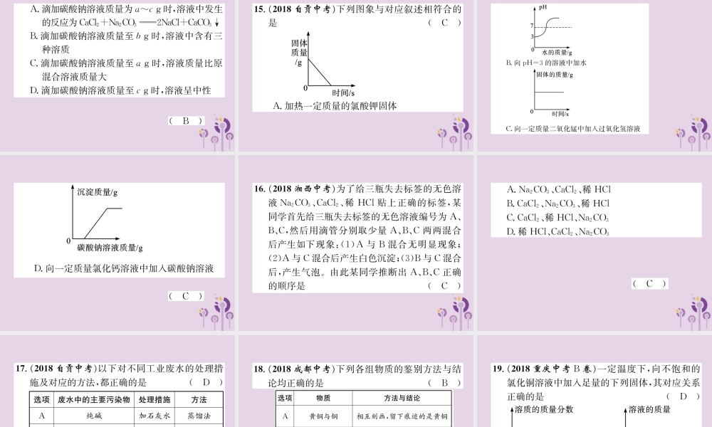 中考化学总复习 第1编 主题复习 模块1 身边的化学物质 课时8 盐 化肥(精练)课件