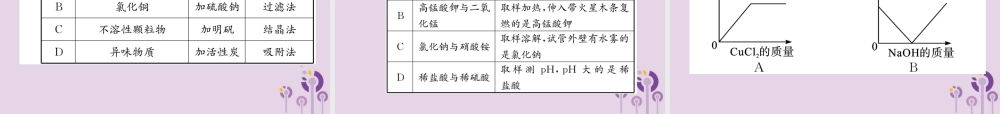 中考化学总复习 第1编 主题复习 模块1 身边的化学物质 课时8 盐 化肥(精练)课件