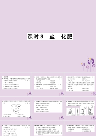 中考化学总复习 第1编 主题复习 模块1 身边的化学物质 课时8 盐 化肥(精练)课件