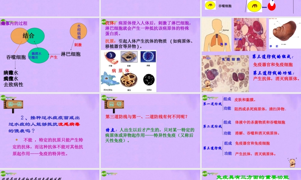 八年级生物下册 第二节 免疫与计划免疫课件 人教新课标版 课件