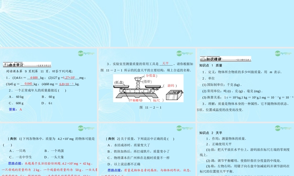 九年级物理上册 第十一章 多彩的物质世界 二(质量)课件 人教新课标版 课件