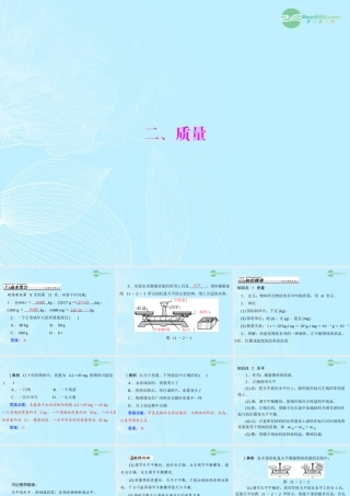 九年级物理上册 第十一章 多彩的物质世界 二(质量)课件 人教新课标版 课件