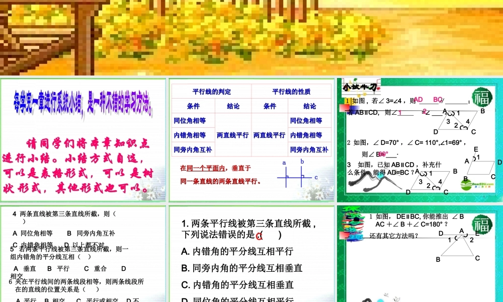 八年级数学上册 平行线复习课件 浙教版 课件