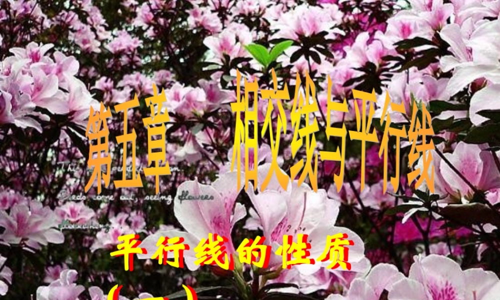 山东省夏津县七年级数学下册 5.3.1 平行线的性质课件 (新版)新人教版 课件