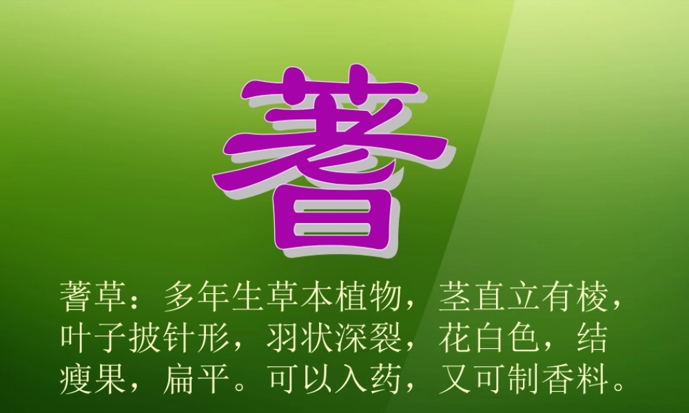 七年级生物上册 第四章 第2节(练习对生物进行鉴别)课件 冀教版 课件