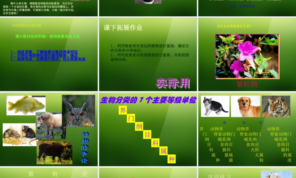 七年级生物上册 第四章 第2节(练习对生物进行鉴别)课件 冀教版 课件