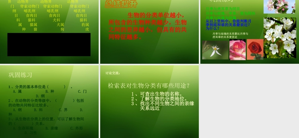 七年级生物上册 第四章 第2节(练习对生物进行鉴别)课件 冀教版 课件