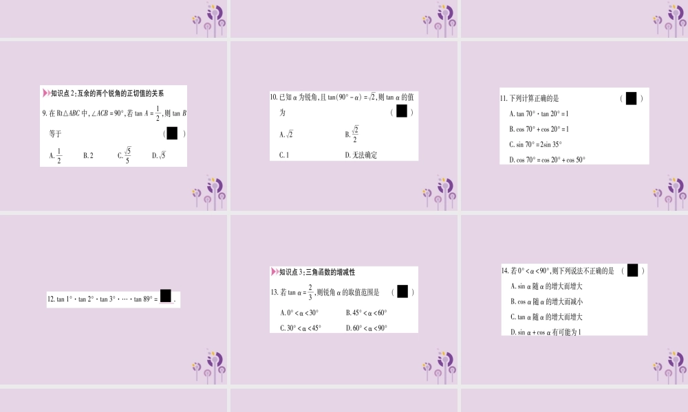 九年级数学上册 第23章 解直角三角形 231 锐角的三角函数 2312 30°，45°，60°角的三角函数值 第2课时 互余两角的三角函数值作业课件 (新版)沪科版 课件