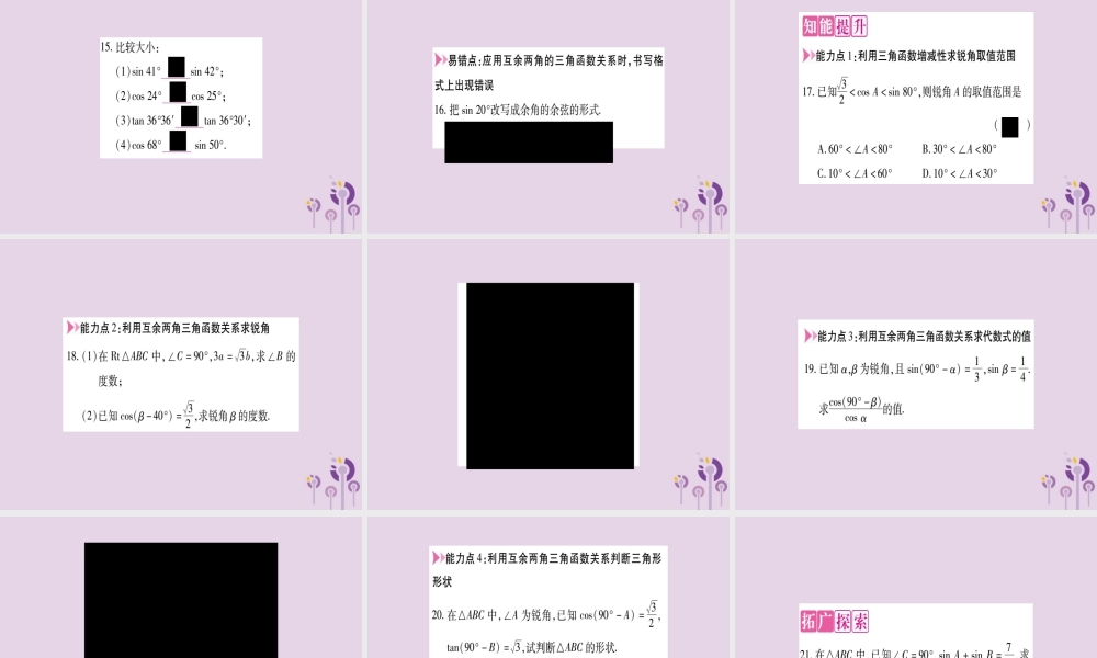 九年级数学上册 第23章 解直角三角形 231 锐角的三角函数 2312 30°，45°，60°角的三角函数值 第2课时 互余两角的三角函数值作业课件 (新版)沪科版 课件
