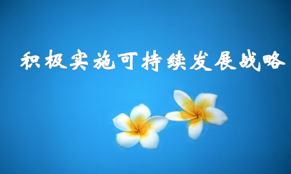 人教版初三政治积极实施可持续发展战略 课件