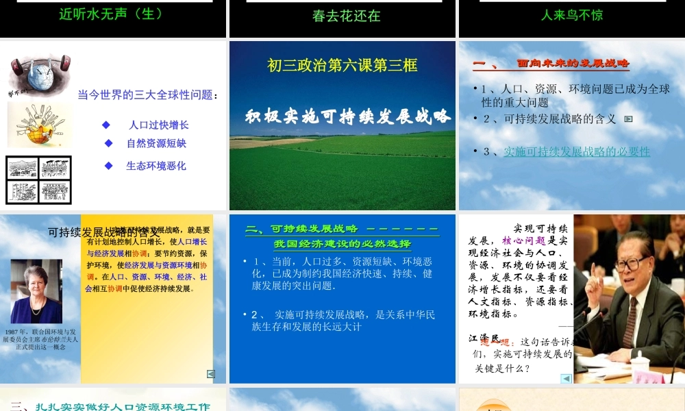 人教版初三政治积极实施可持续发展战略 课件