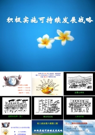 人教版初三政治积极实施可持续发展战略 课件