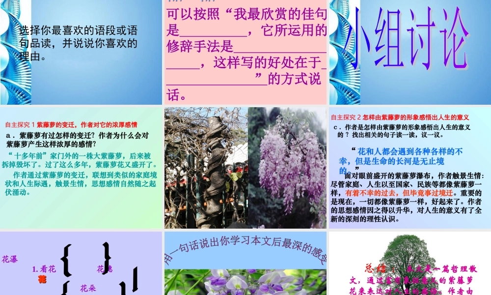 八年级语文下册(紫藤萝瀑布)课件 苏教版 课件