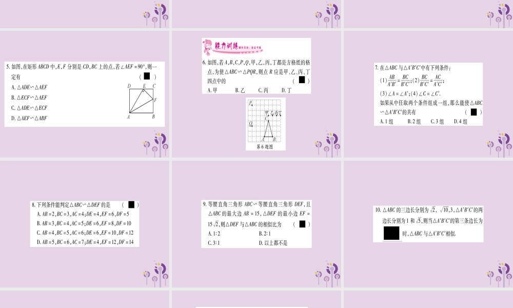 九年级数学上册 第3章 图形的相似 34 相似三角形的判定与性质 341 第4课时 作业课件 (新版)湘教版 课件