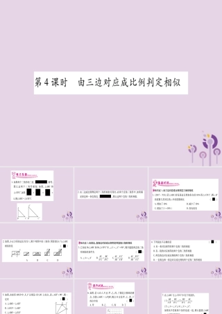 九年级数学上册 第3章 图形的相似 34 相似三角形的判定与性质 341 第4课时 作业课件 (新版)湘教版 课件