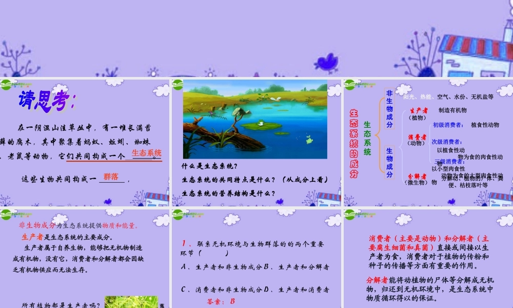 初中生物上学期竞赛 生态系统的结构和功能课件