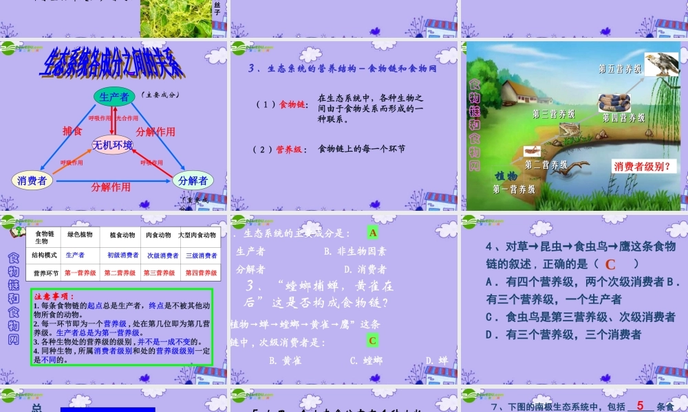 初中生物上学期竞赛 生态系统的结构和功能课件