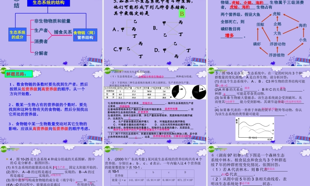 初中生物上学期竞赛 生态系统的结构和功能课件
