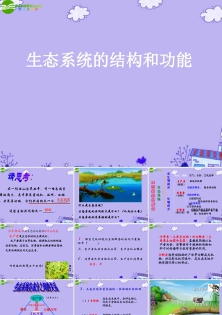 初中生物上学期竞赛 生态系统的结构和功能课件