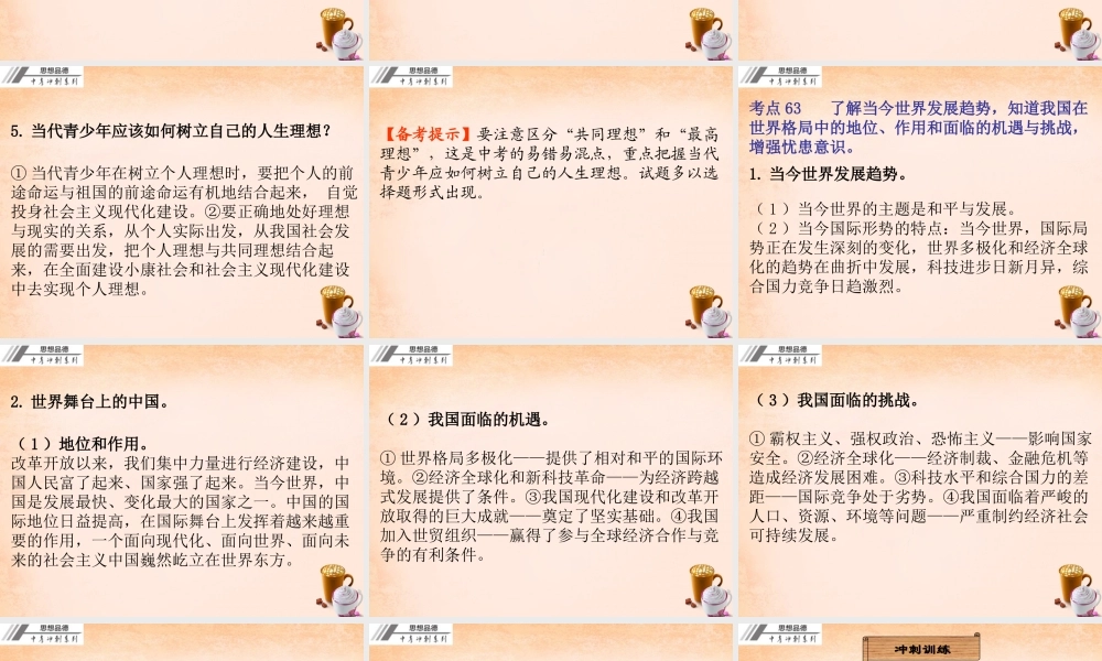 中考政治冲刺复习 第十三章 理想与奋斗课件