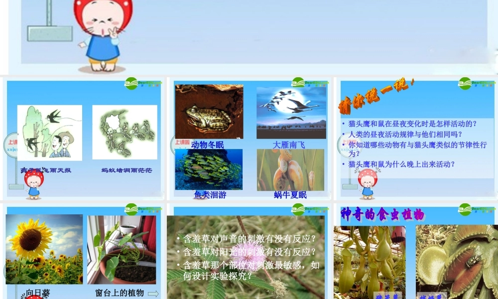 八年级科学上册 第1节  环境对生物行为的影响课件 浙教版 课件