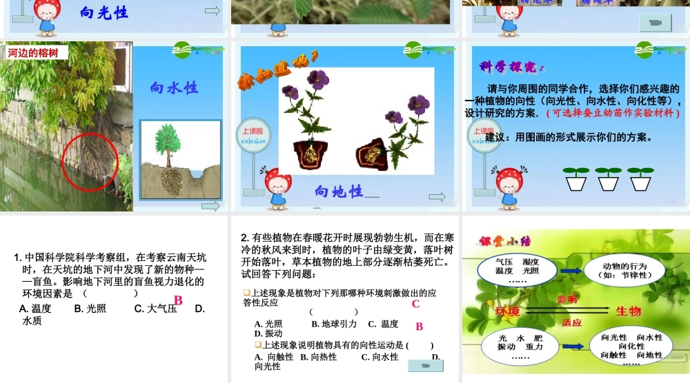 八年级科学上册 第1节  环境对生物行为的影响课件 浙教版 课件