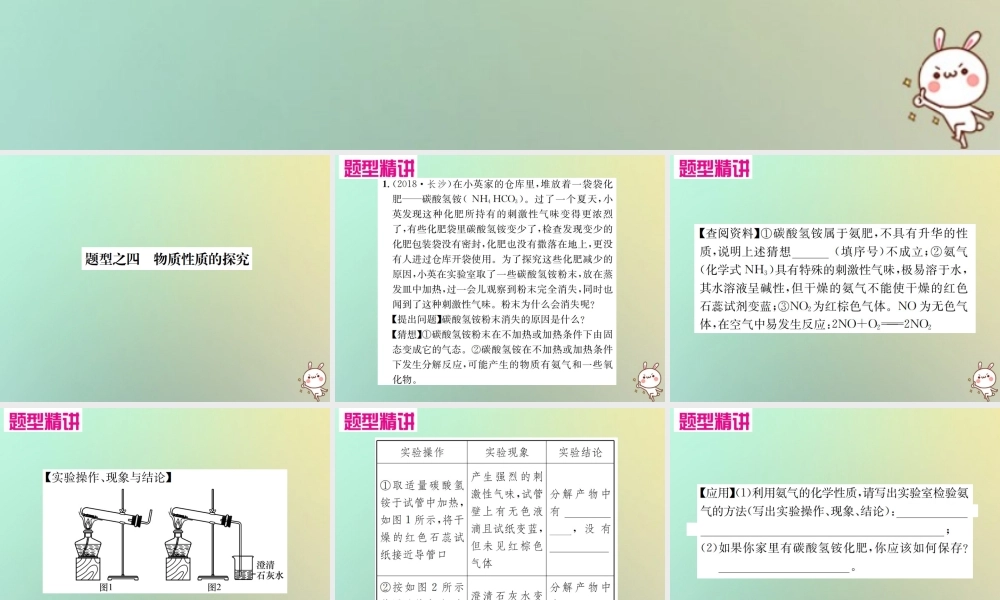 中考化学复习 题型复习(四)实验探究题 题型之四 物质性质的探究课件