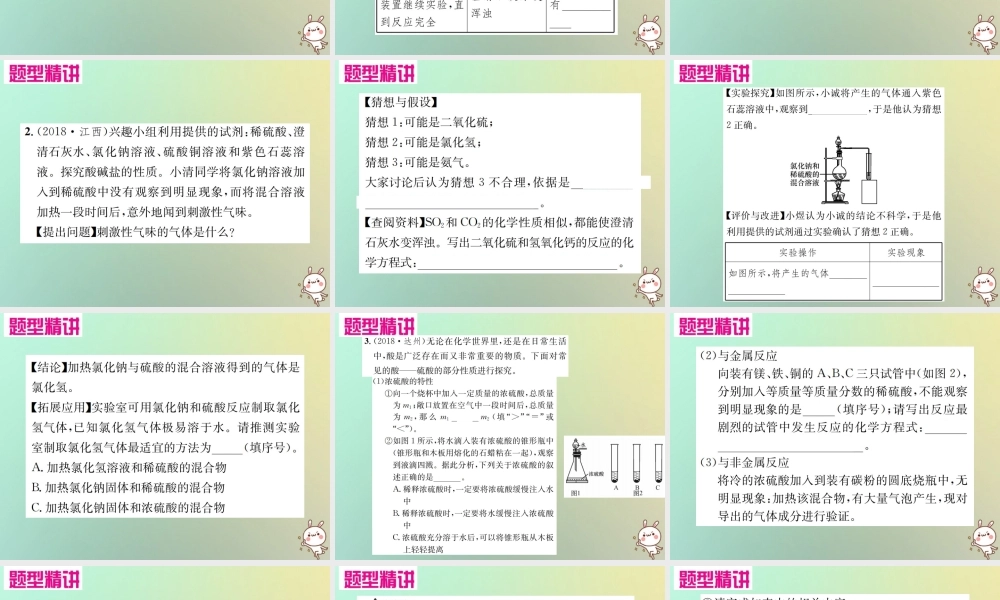 中考化学复习 题型复习(四)实验探究题 题型之四 物质性质的探究课件