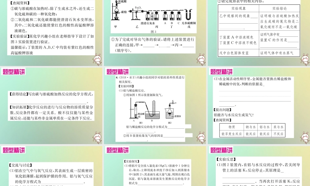 中考化学复习 题型复习(四)实验探究题 题型之四 物质性质的探究课件