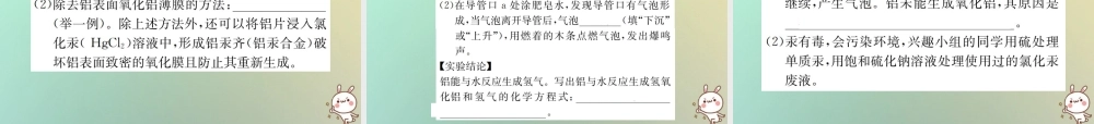 中考化学复习 题型复习(四)实验探究题 题型之四 物质性质的探究课件