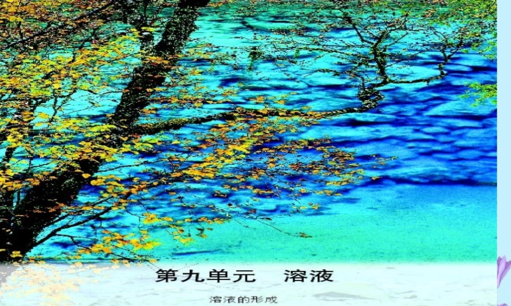 初三化学溶液总复习课件