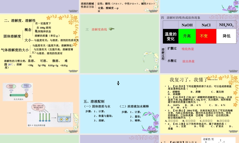 初三化学溶液总复习课件