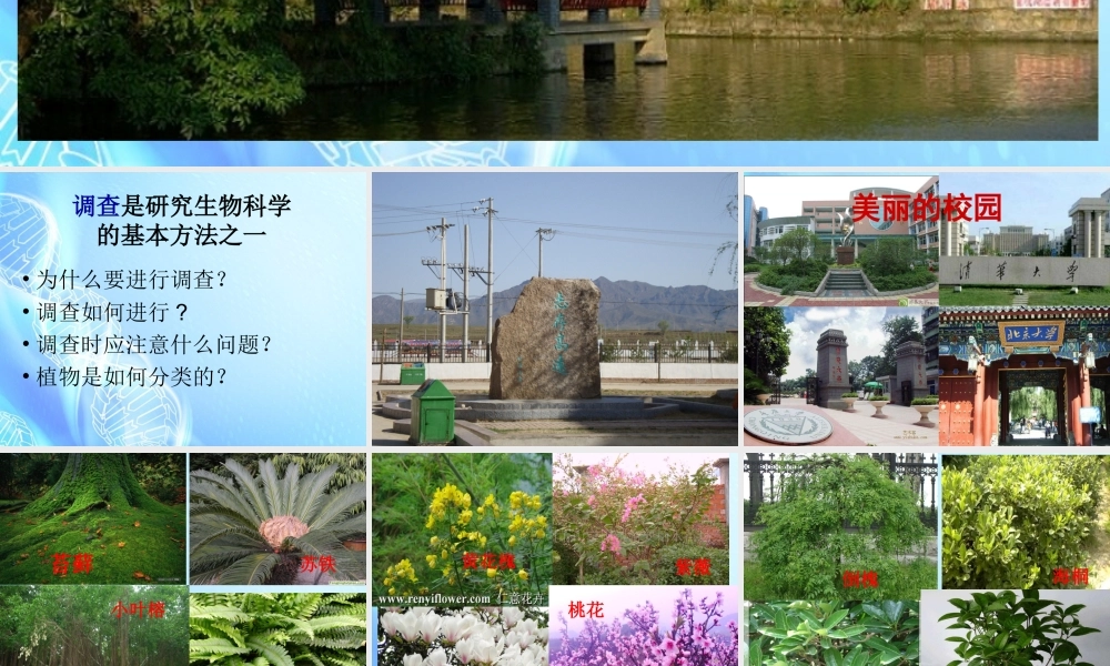 七年级生物上册 第二章 第2节(校园植物观察)课件 冀教版 课件