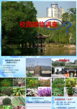 七年级生物上册 第二章 第2节(校园植物观察)课件 冀教版 课件