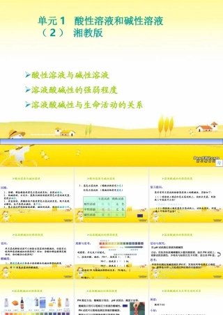 单元1  酸性溶液和碱性溶液(2) 湘教版 课件