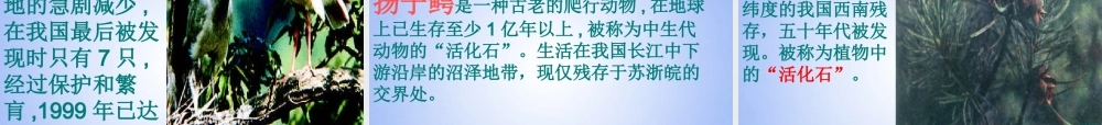 八年级生物上册 认识生物的多样性课件 新人教版 课件
