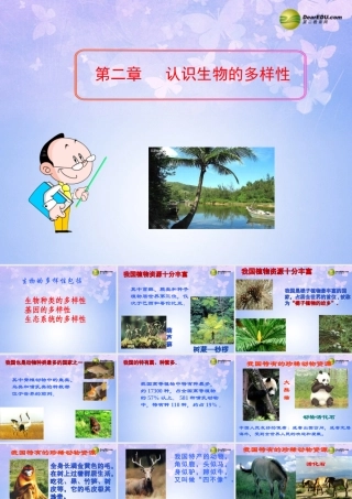 八年级生物上册 认识生物的多样性课件 新人教版 课件