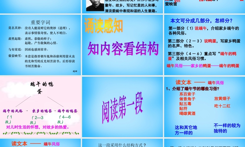 八年级语文下册(17 端午的鸭蛋)课件 新人教版 课件