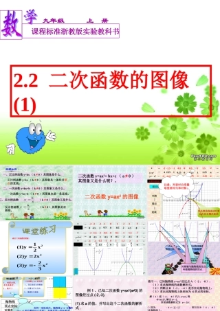 九年级数学二次函数的图像一 新课标 浙教版 课件
