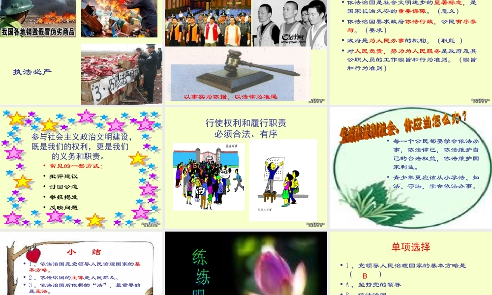 九年级政治依法治国是基本方略课件 粤教沪版 课件