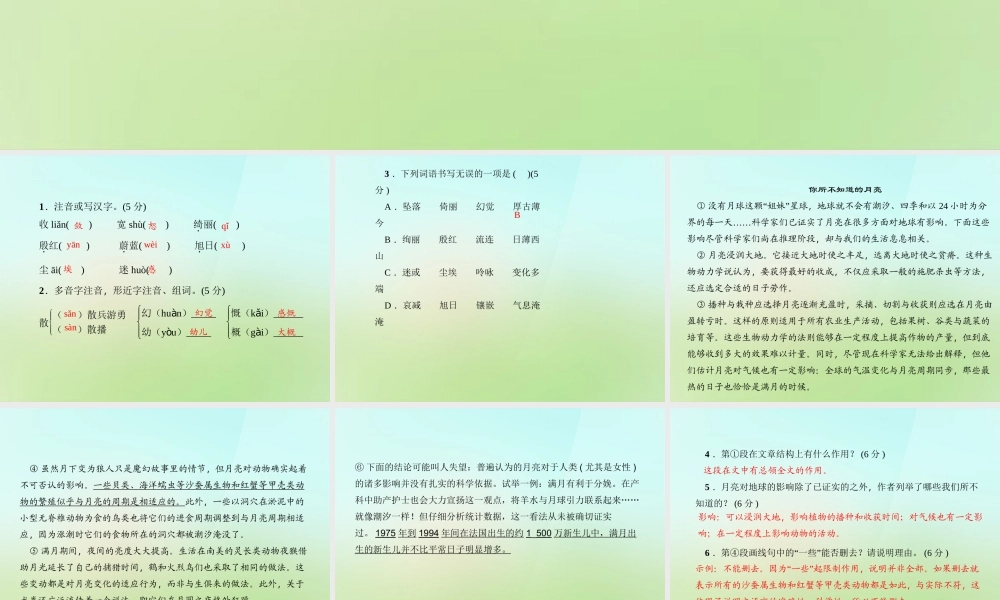 八年级语文上册 第四单元 日的幻觉习题课件 新人教版 课件