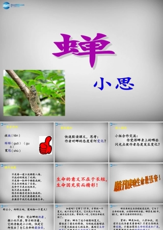 中学七年级语文上册 18(短文两篇)蝉课件 (新版)新人教版 课件