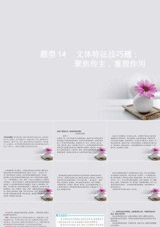 云南省高考语文二轮复习14文体特征技巧题_聚焦传主重视作用课件